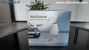 HaoHan - Multifunctional Aromatherapy Humidifier